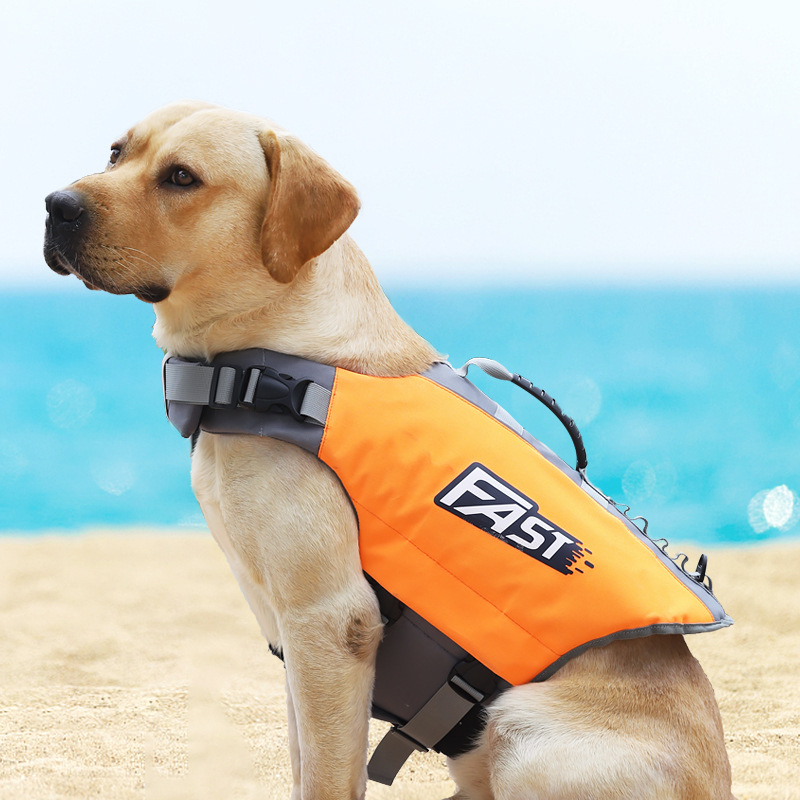 Pet Swimming Life Jacket Safet - Life Jacket ulasan dan harga